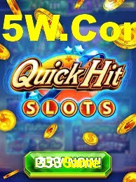 Daily Bonuses 333Game